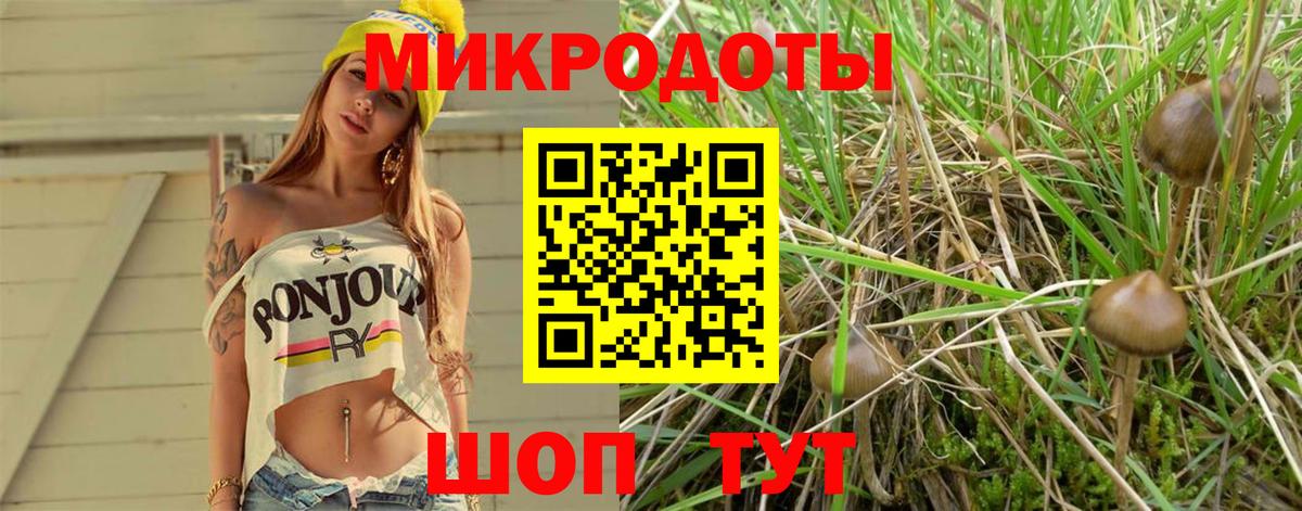 Псилоцибиновые грибы Magic Shrooms Петропавловск-Камчатский