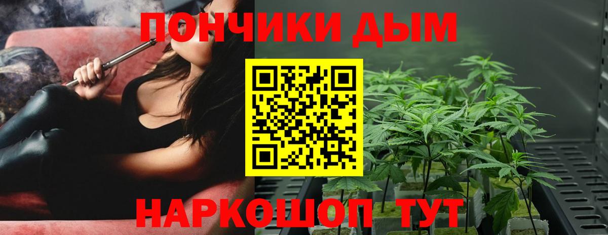 Конопля планчик Петропавловск-Камчатский